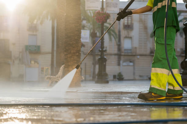 Best Pool Deck Cleaning  in Lena, IL